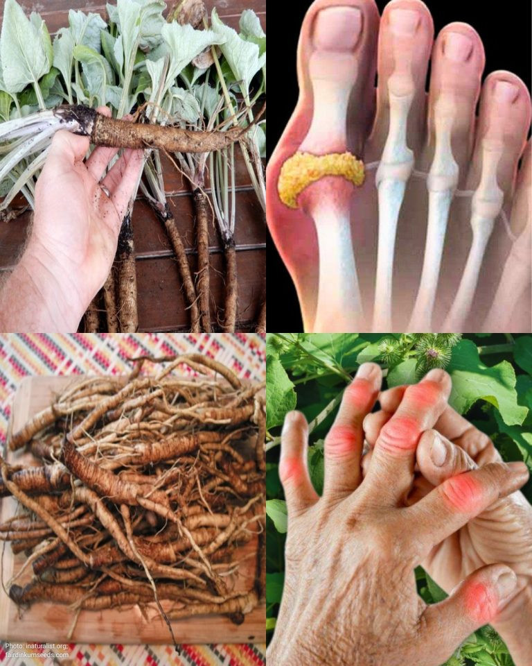 Roślina, która niszczy komórki rakowe! Jest 100 razy skuteczniejsza niż chemioterapia