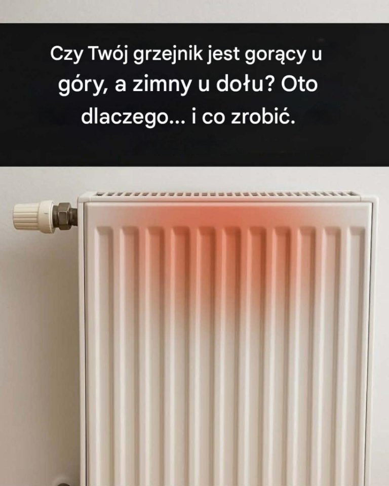 Grzejnik gorący u góry i zimny u dołu: co zrobić, aby przywrócić równomierne ciepło?