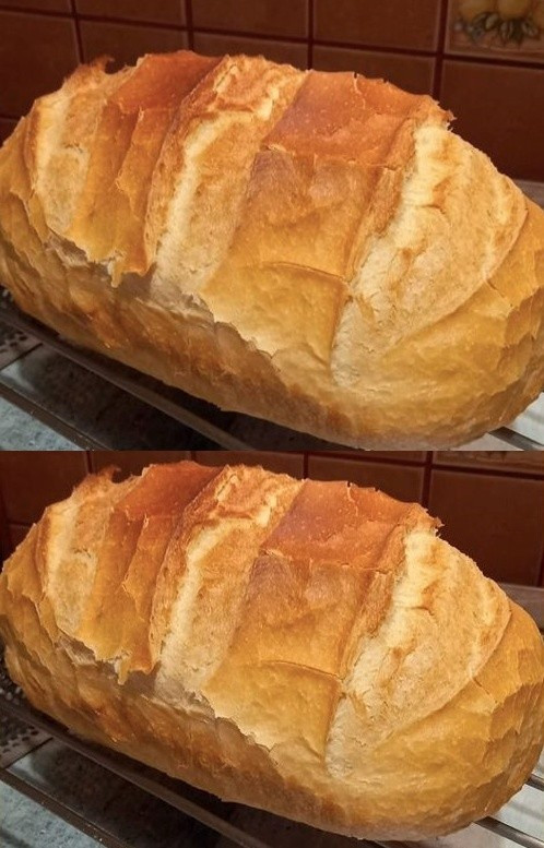 Domowy chleb prawie 2 kg za mniej niż 3,50 zł – chrupiąca skórka i miękki środek