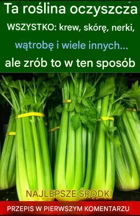 Jeśli jesz seler codziennie, może to mieć negatywny wpływ na Twój organizm