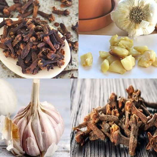 Ukojenie w drodze do komfortu: domowa maść na żylaki i ból stawówZobacz szczegóły w pierwszym komentarzu