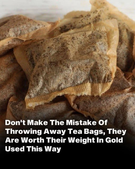 Why Used Tea Bags Are “Worth Their Weight in Gold
