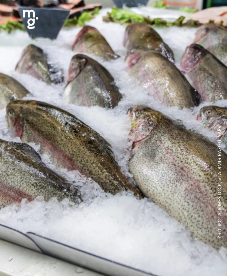 Ta pyszna ryba pływa w czystych wodach. Kupuję na święta zamiast karpia, jak tylko zobaczę w Lidlu lub Dino 😍🐟