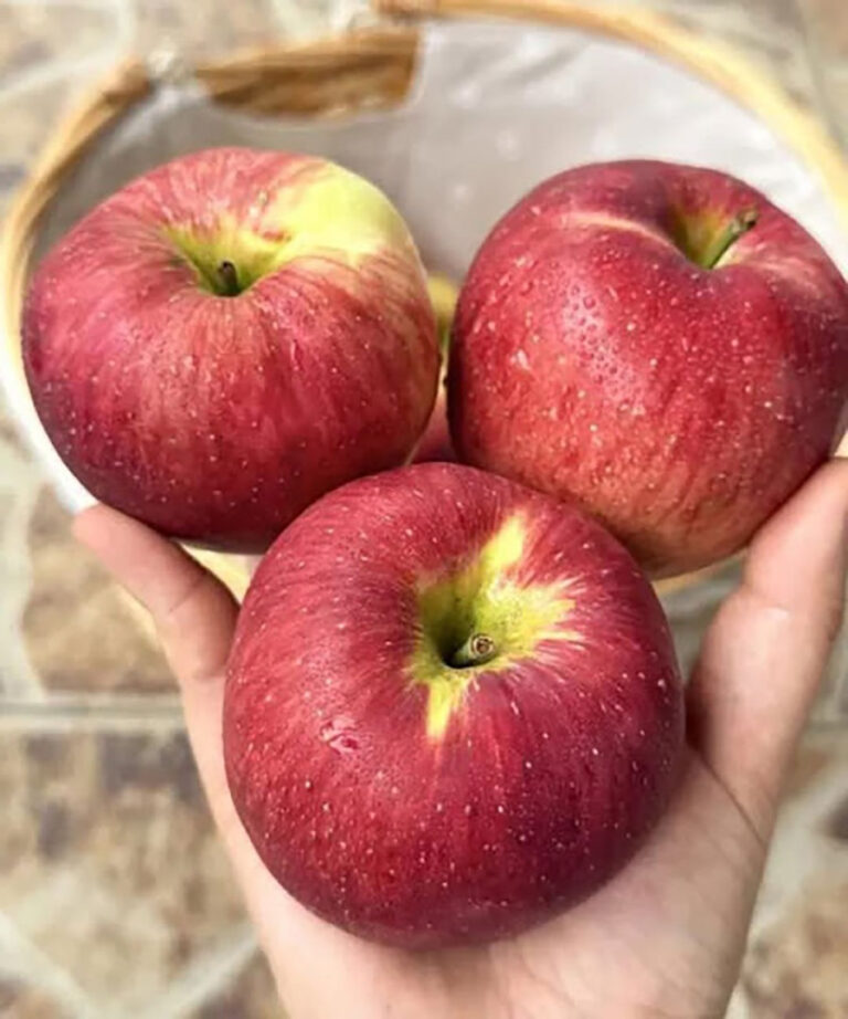 Lekarze ujawniają, że jedzenie jabłek powoduje… Zobacz więcej