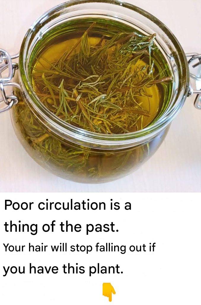 The “Garden Secret” for Scalp Vitality: Homemade Rosemary Oil