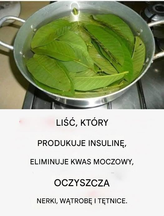 Musisz znać ten liść – kontroluje cukrzycę i oczyszcza nerki, wątrobę i tętnice!