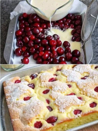 Szybkie ciasto twarogowe z wiśniami – piekę je co tydzień, w 5 minut w piekarniku! INSTRUKCJE W PIERWSZYM KOMENTARZU 😍😍