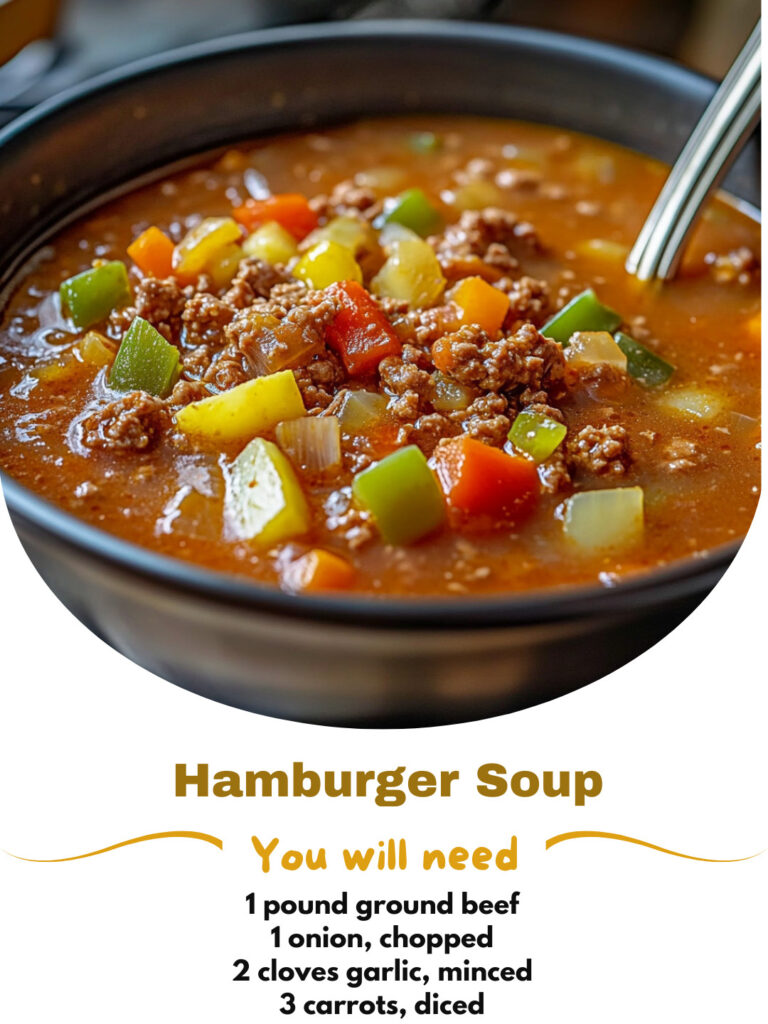 Hamburger Vegetable Soup